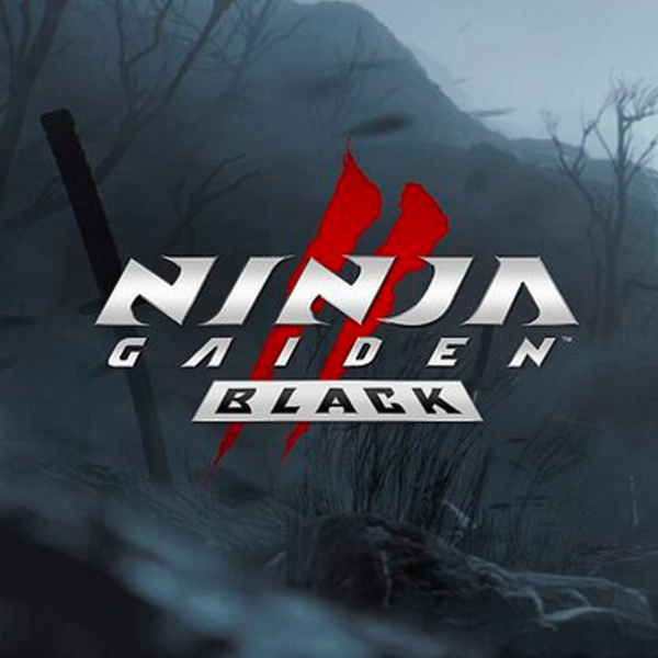 Ninja Gaiden 2 Black